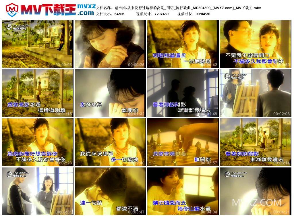 蔡幸娟-从来没想过这样的离别_国语_流行歌曲_MD304599